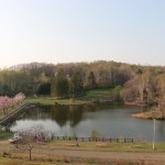 東明公園の池