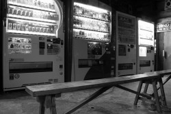 ゆっくり飲んでいってね